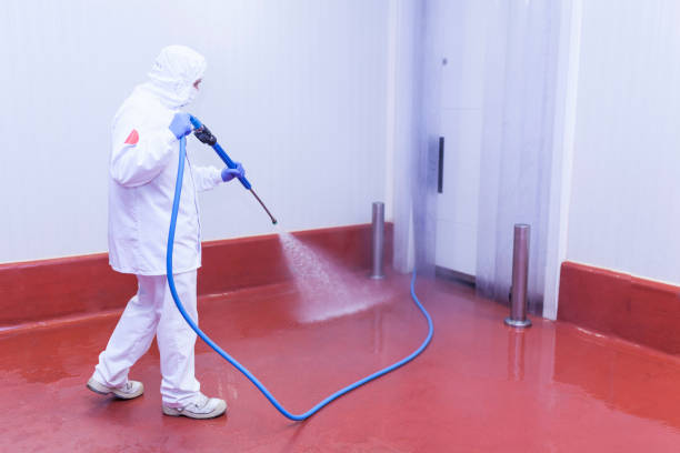 Paint Preparation in Sage, CA
